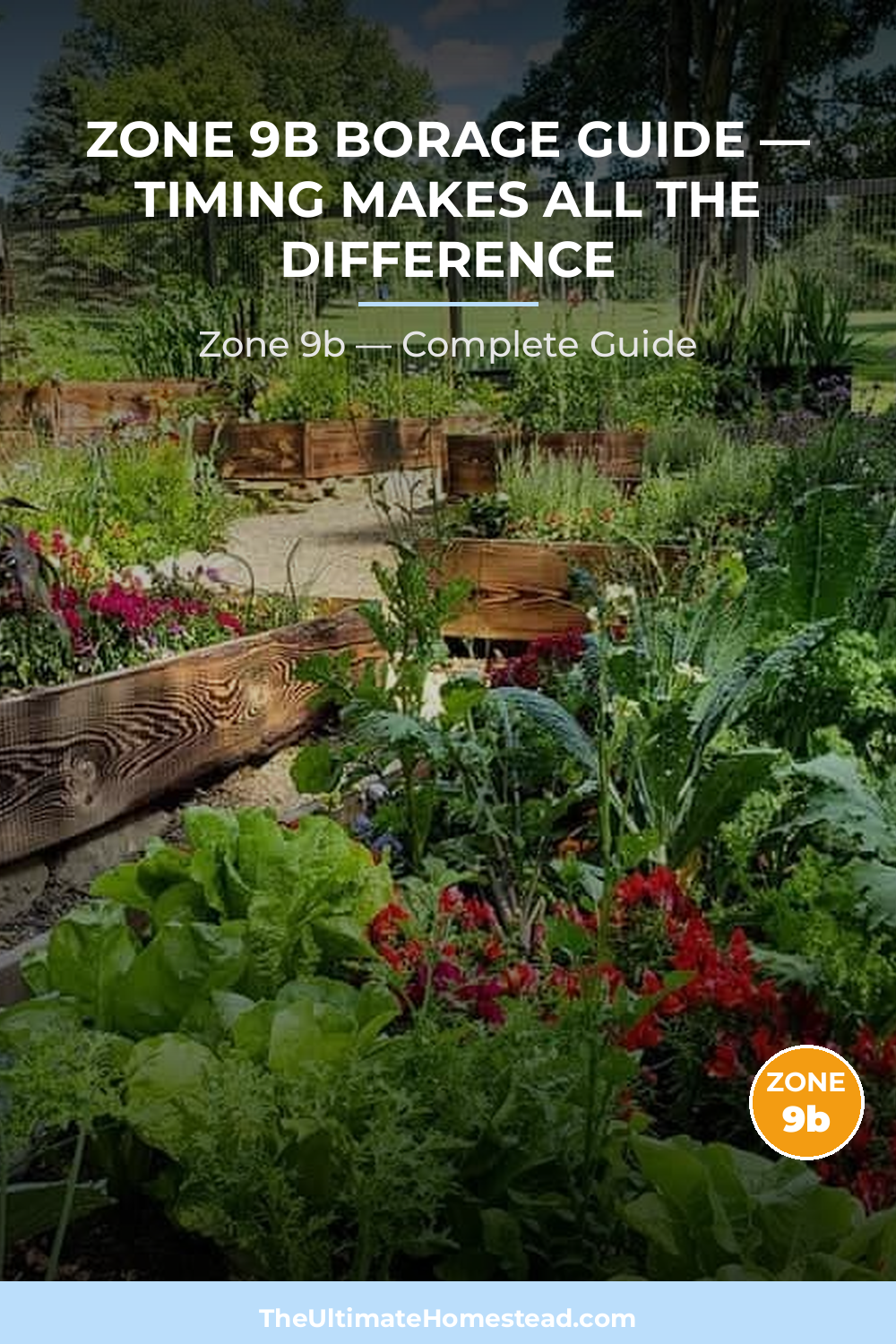 When to Plant Borage in Zone 9b