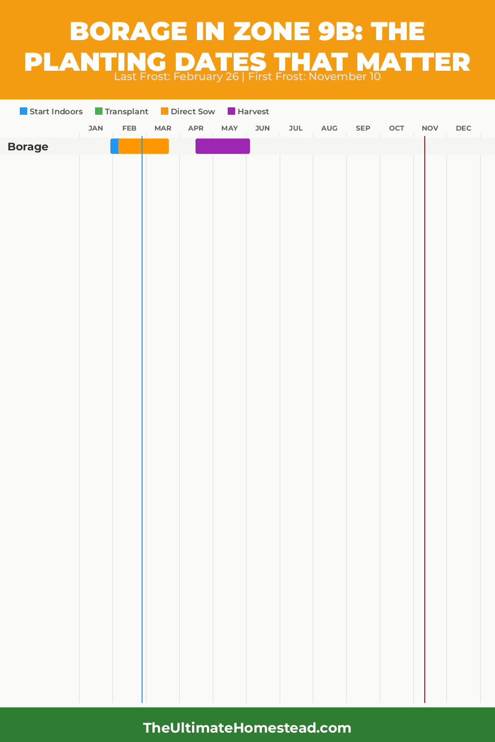 When to Plant Borage in Zone 9b