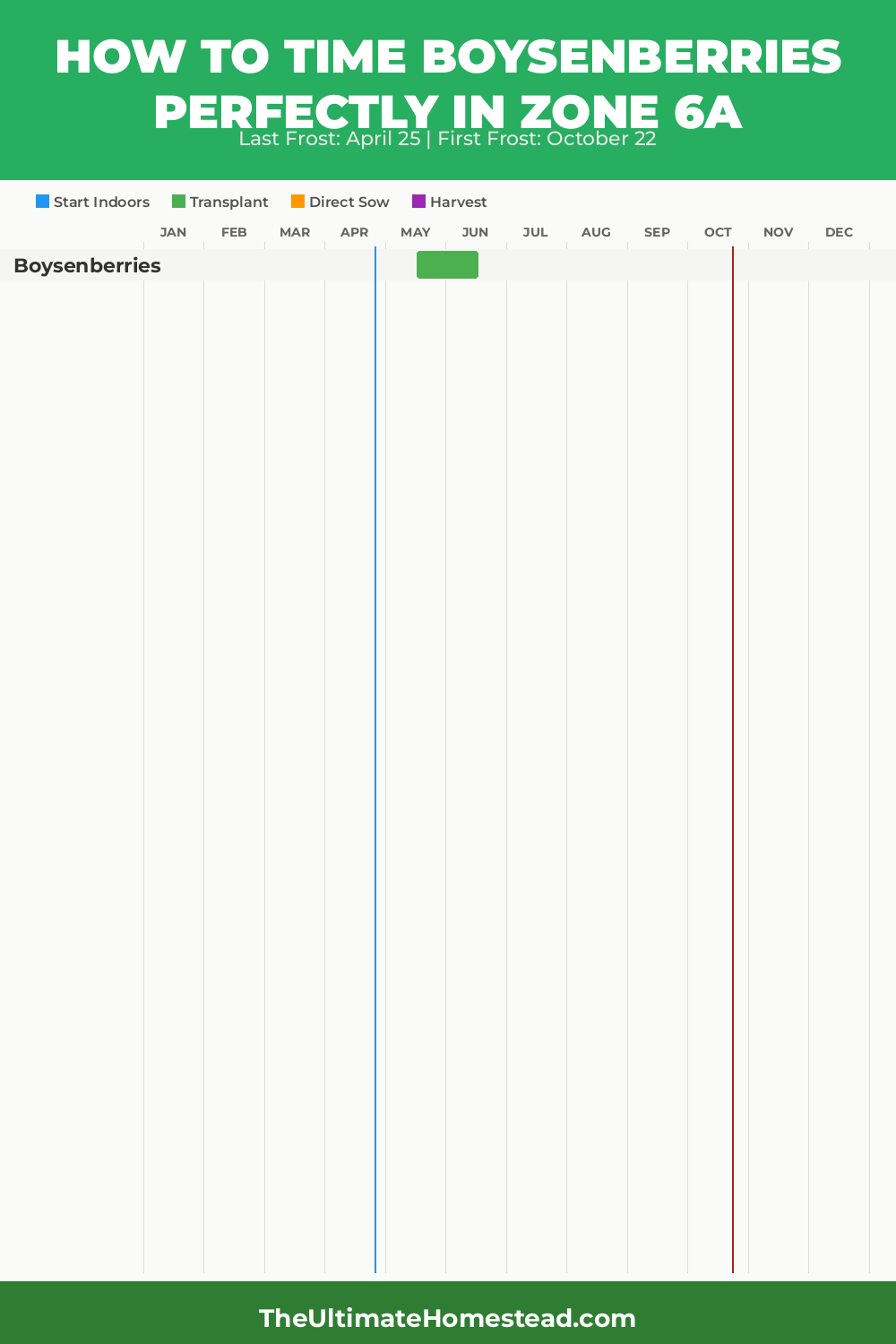 When to Plant Boysenberries in Zone 6a