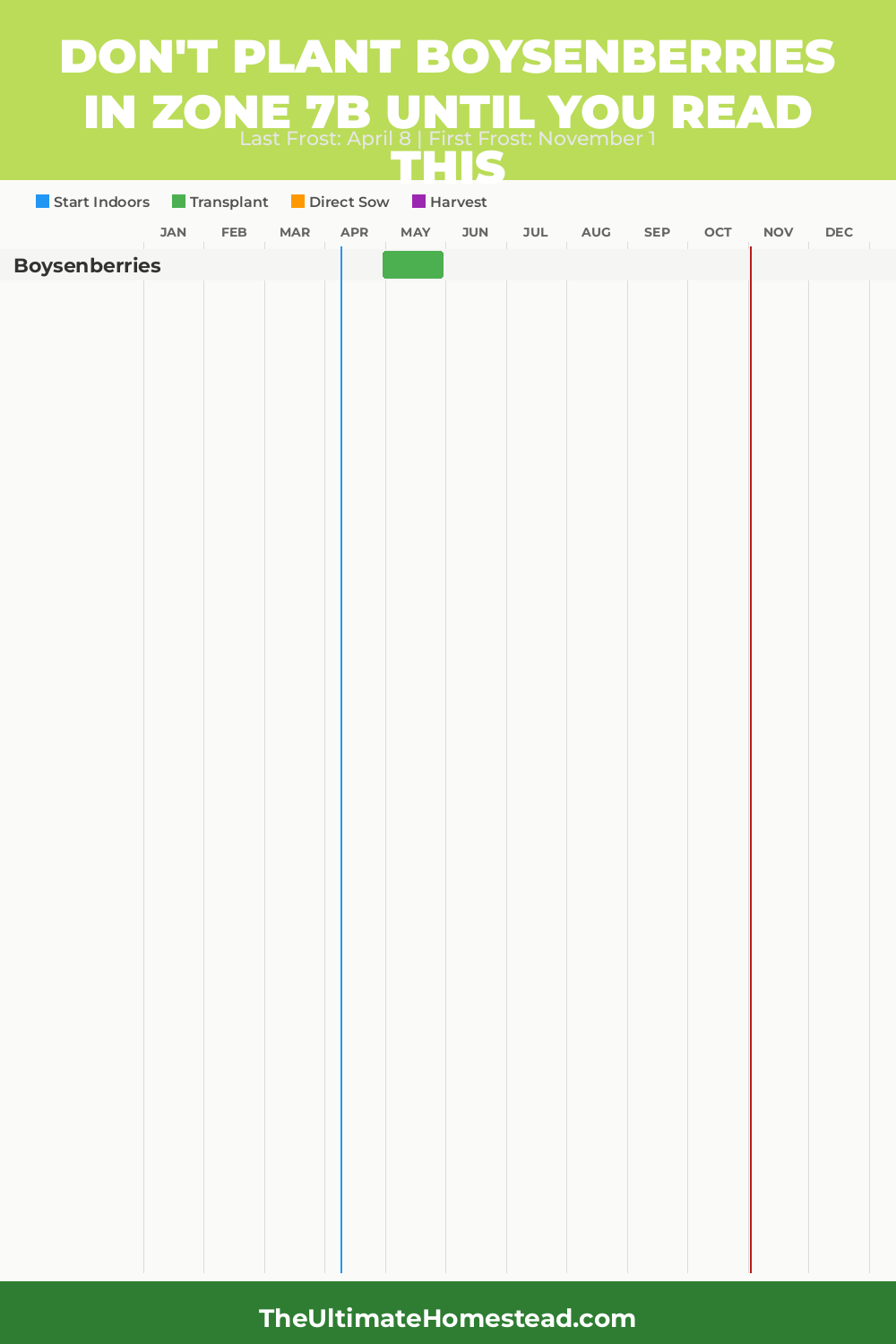 When to Plant Boysenberries in Zone 7b