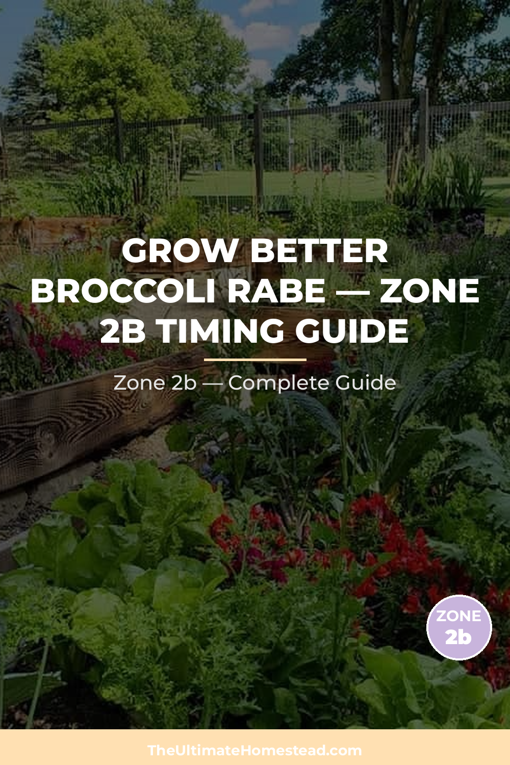 When to Plant Broccoli Rabe in Zone 2b