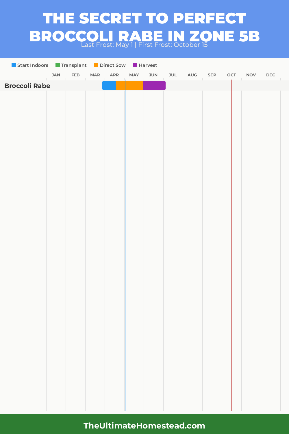 When to Plant Broccoli Rabe in Zone 5b