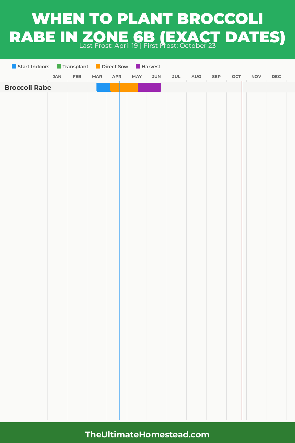 When to Plant Broccoli Rabe in Zone 6b