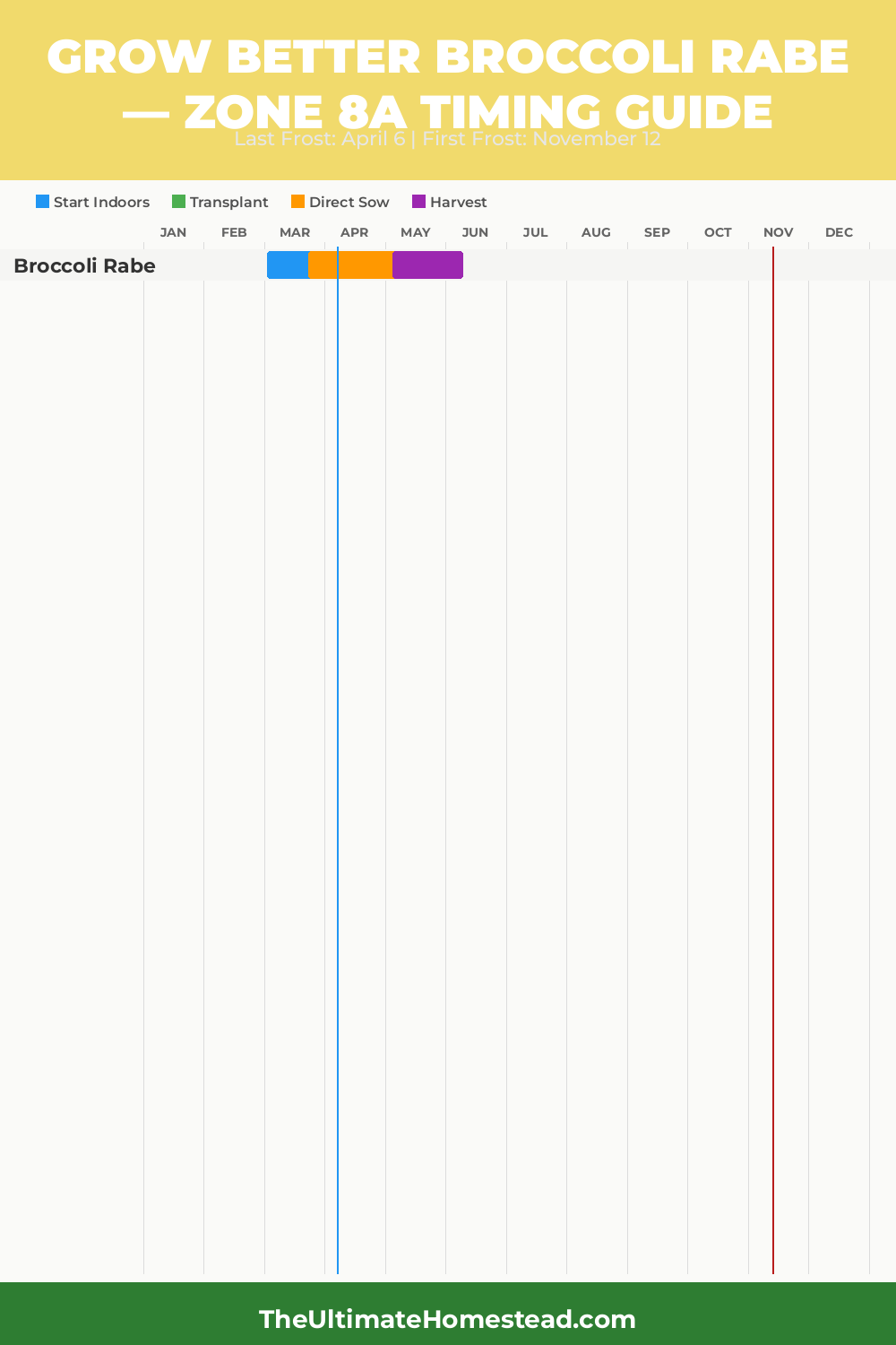 When to Plant Broccoli Rabe in Zone 8a