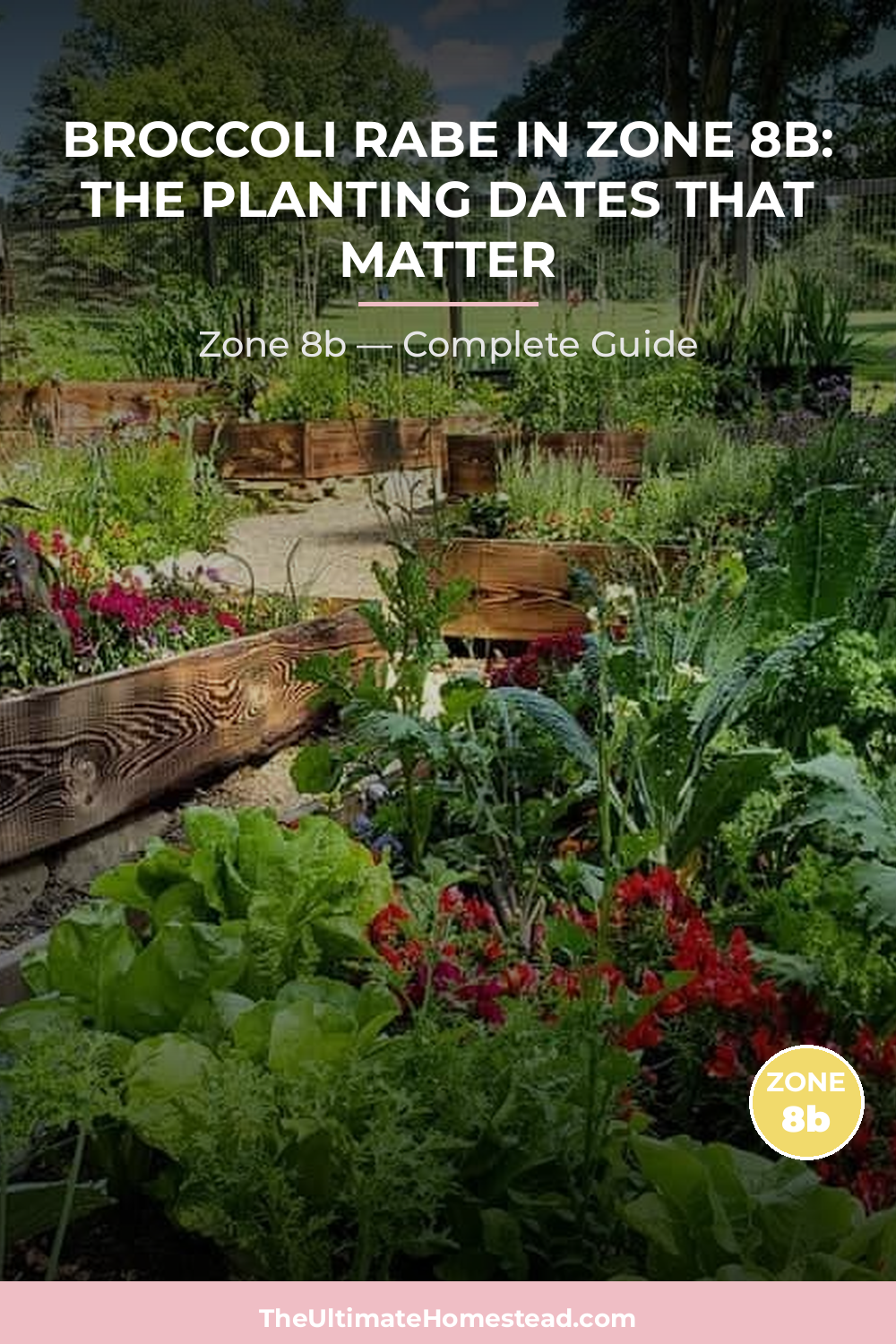 When to Plant Broccoli Rabe in Zone 8b