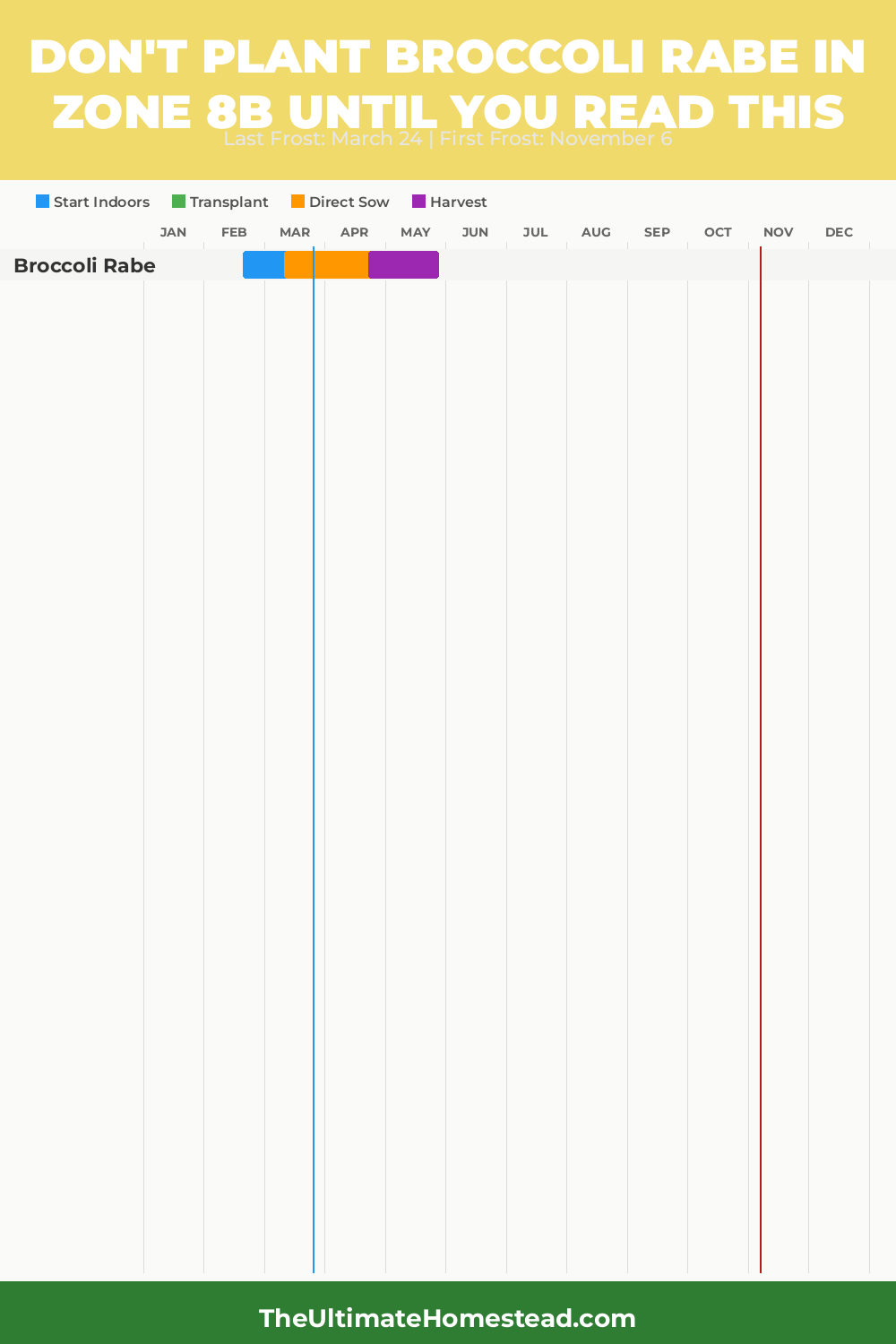 When to Plant Broccoli Rabe in Zone 8b
