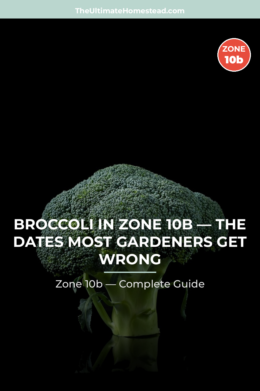 When to Plant Broccoli in Zone 10b