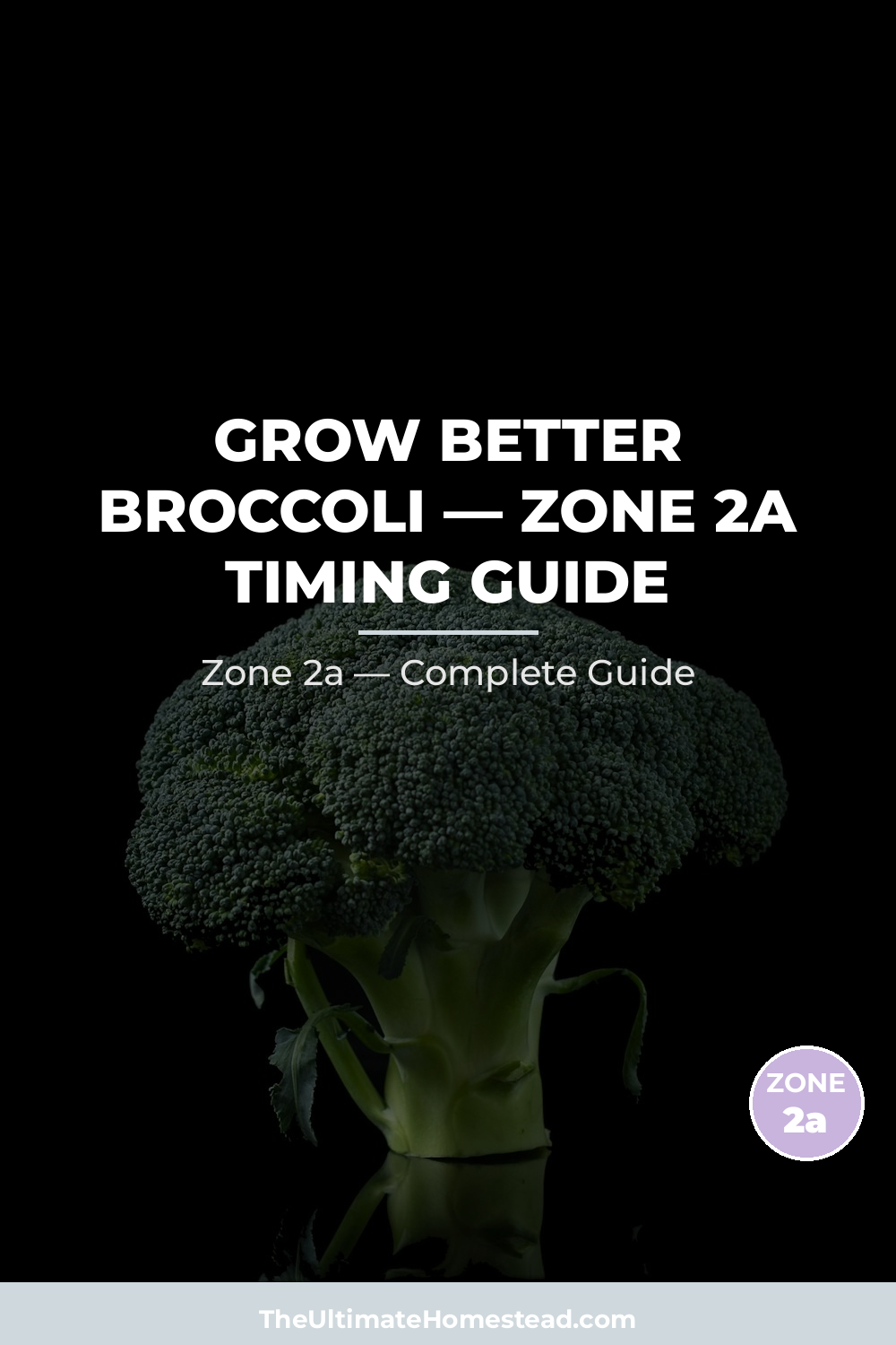 When to Plant Broccoli in Zone 2a