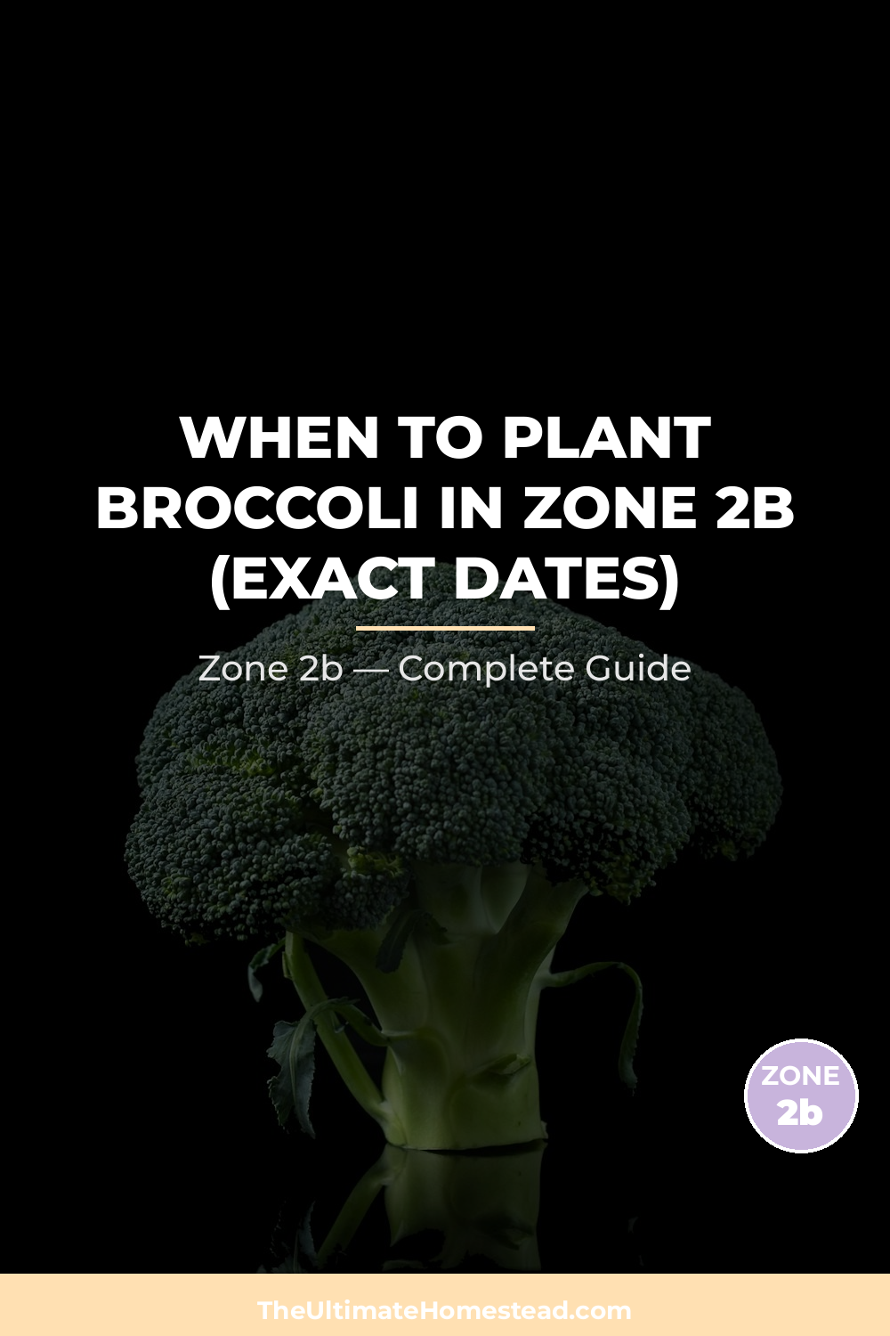 When to Plant Broccoli in Zone 2b