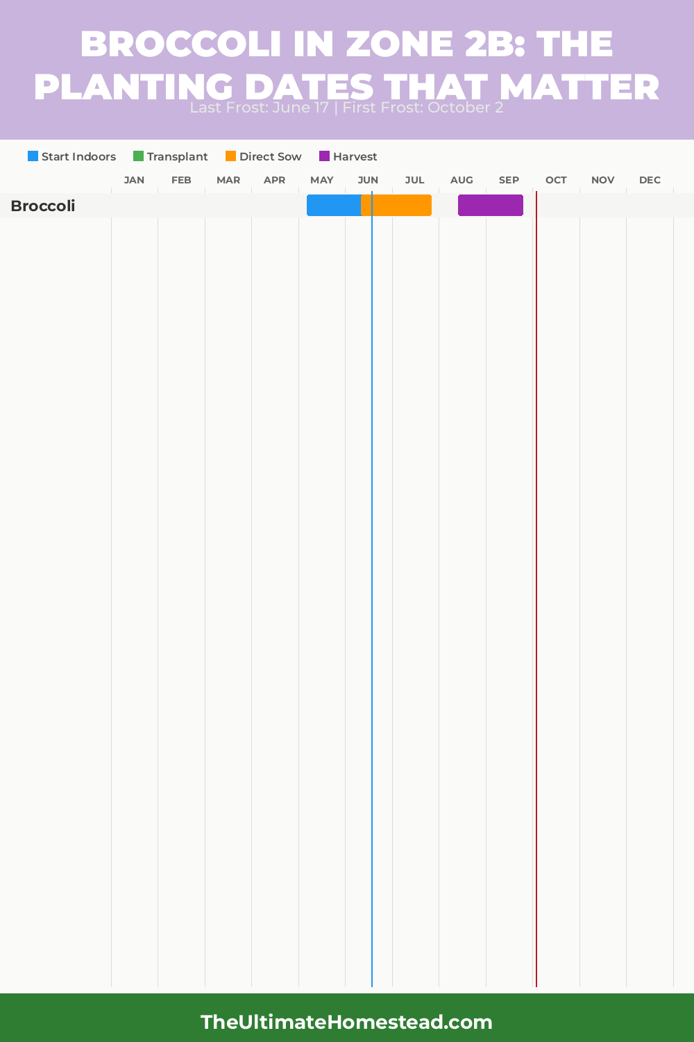 When to Plant Broccoli in Zone 2b