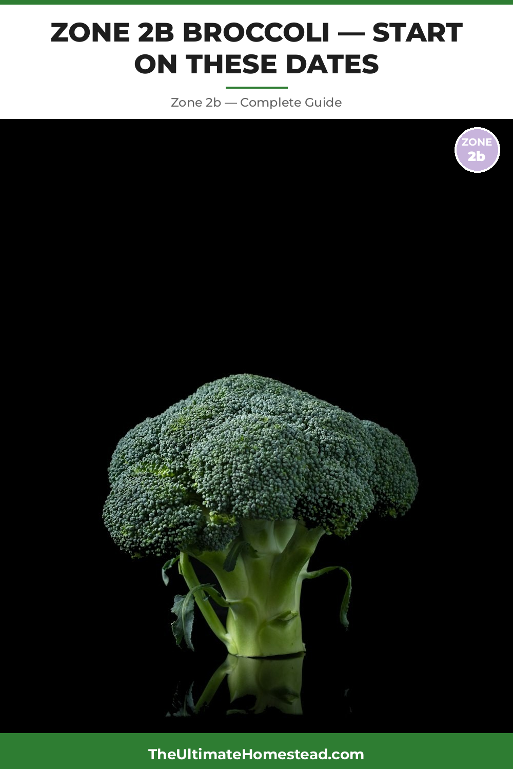 When to Plant Broccoli in Zone 2b