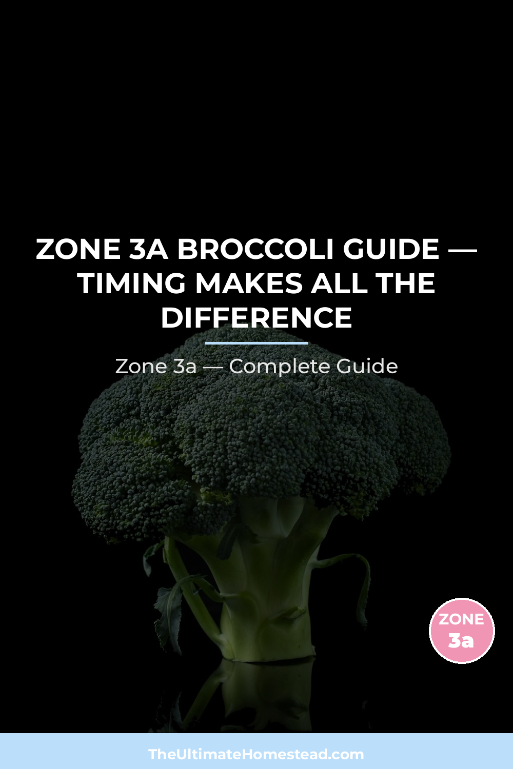 When to Plant Broccoli in Zone 3a