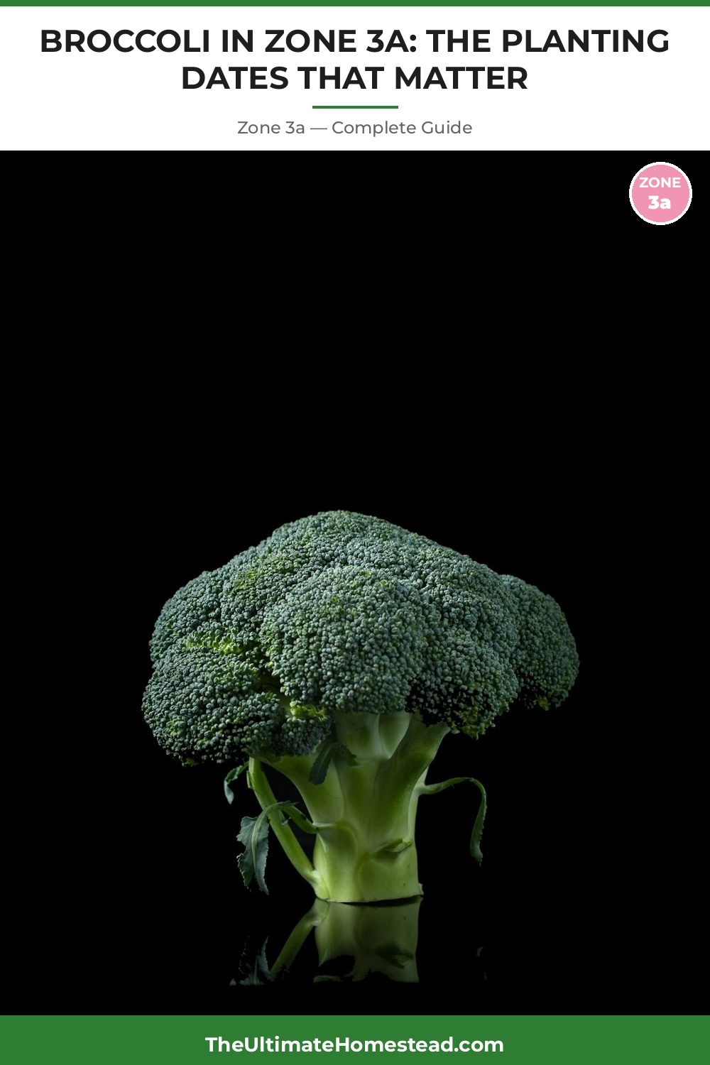 When to Plant Broccoli in Zone 3a