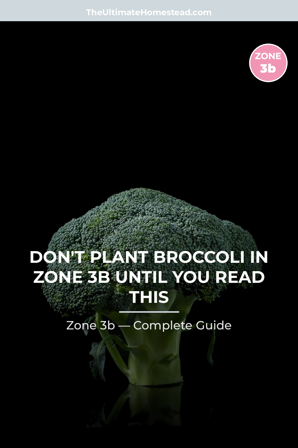 When to Plant Broccoli in Zone 3b