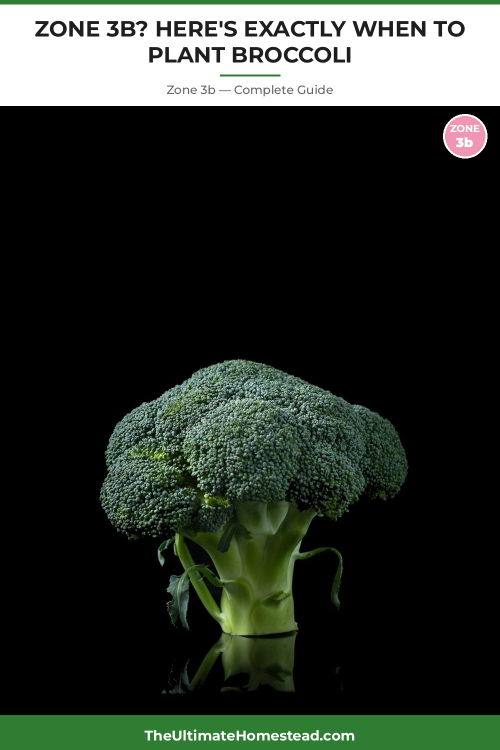 When to Plant Broccoli in Zone 3b