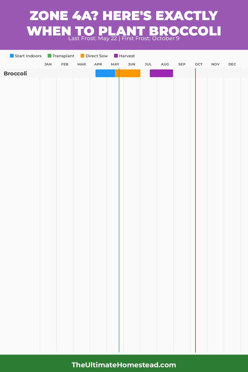 When to Plant Broccoli in Zone 4a