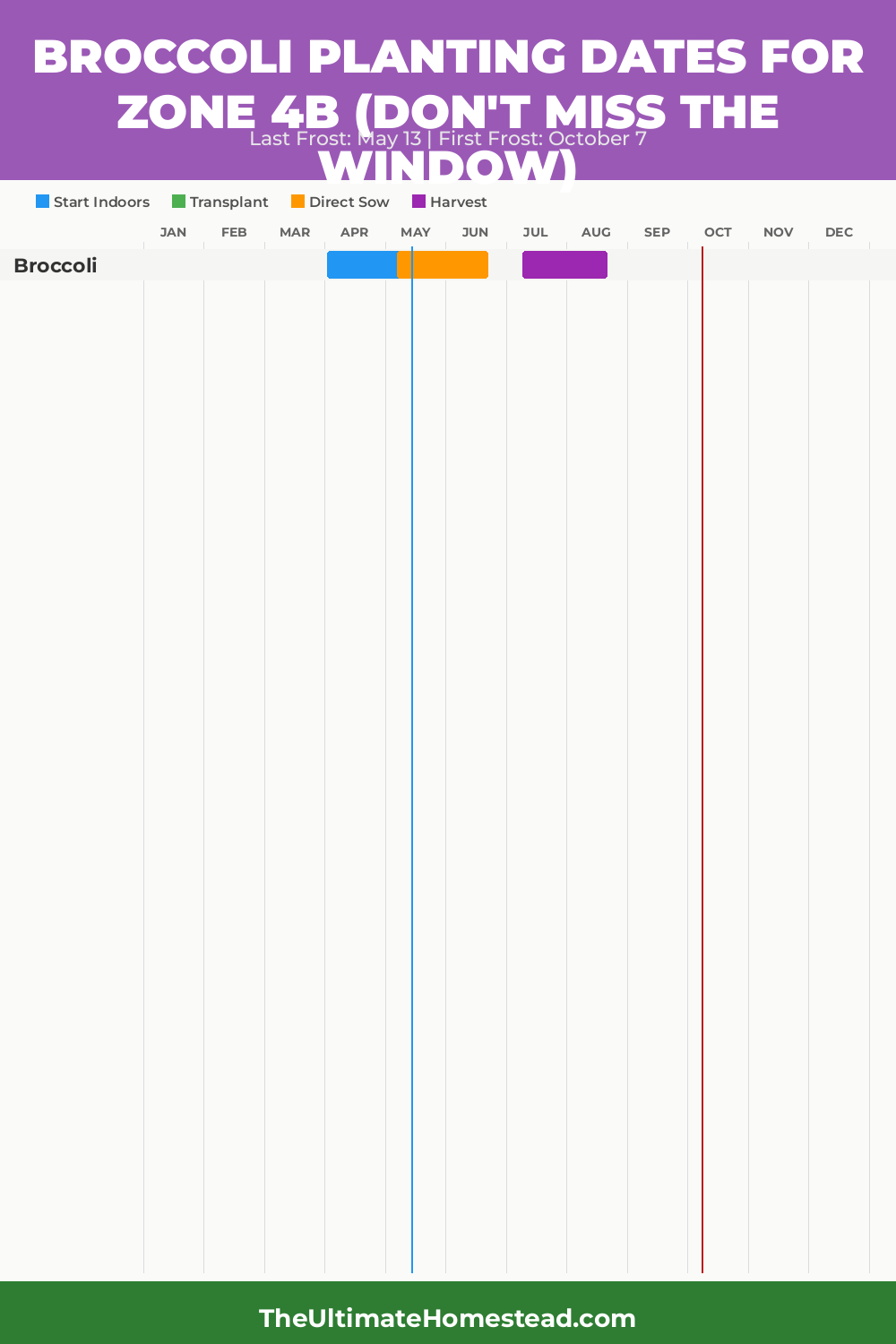 When to Plant Broccoli in Zone 4b