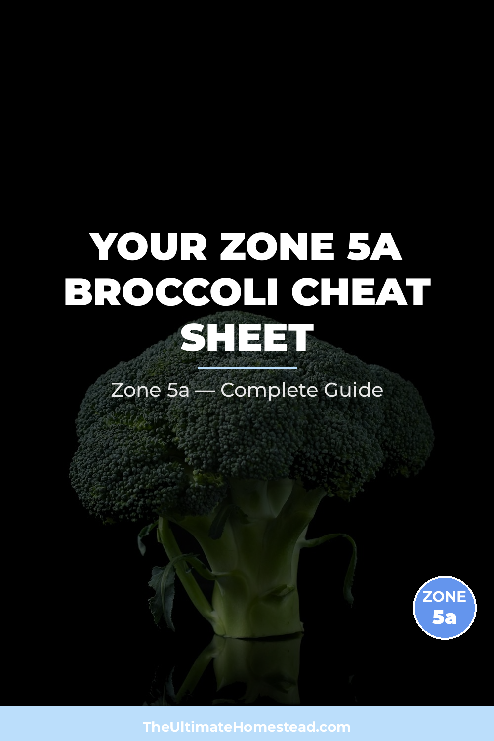 When to Plant Broccoli in Zone 5a