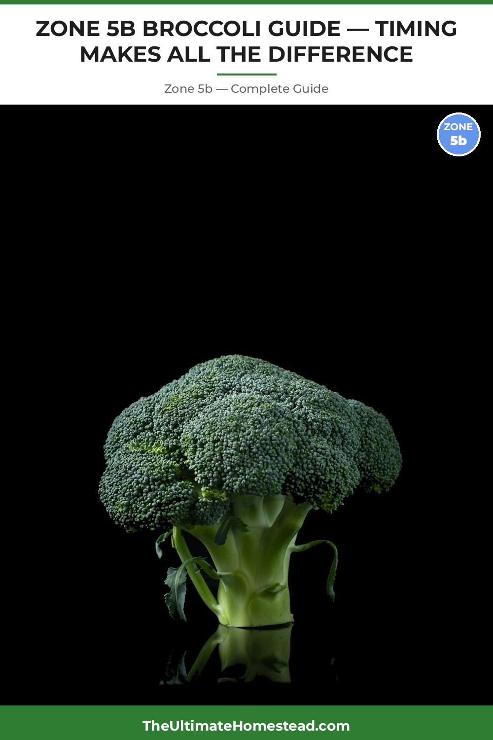 When to Plant Broccoli in Zone 5b