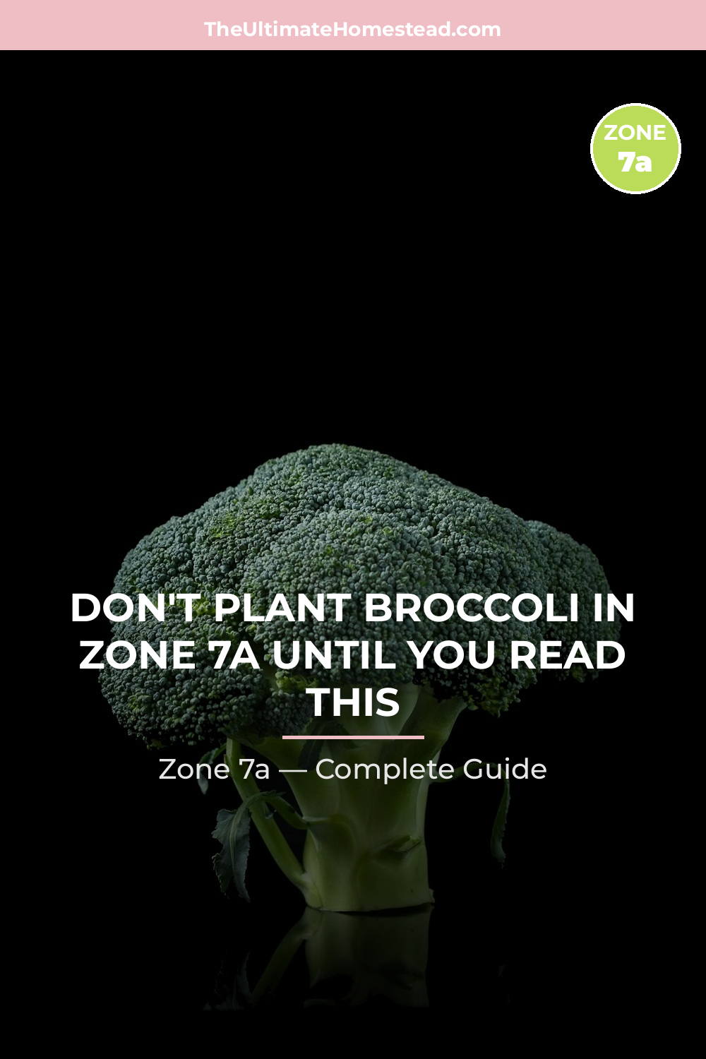 When to Plant Broccoli in Zone 7a
