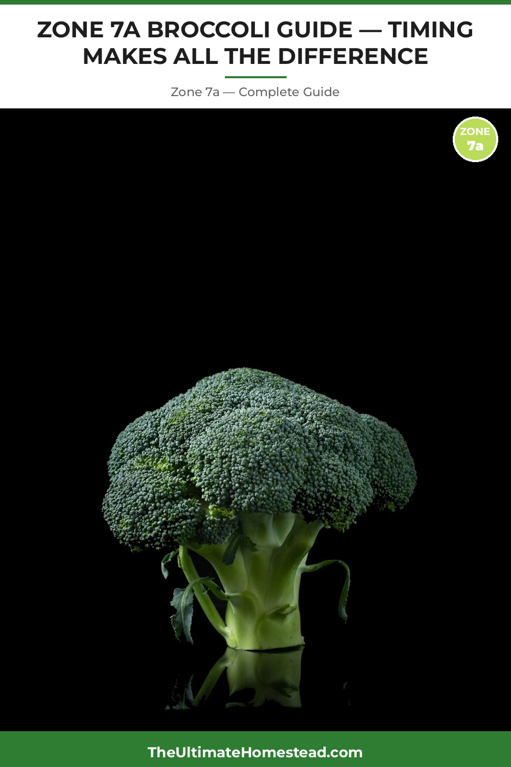 When to Plant Broccoli in Zone 7a