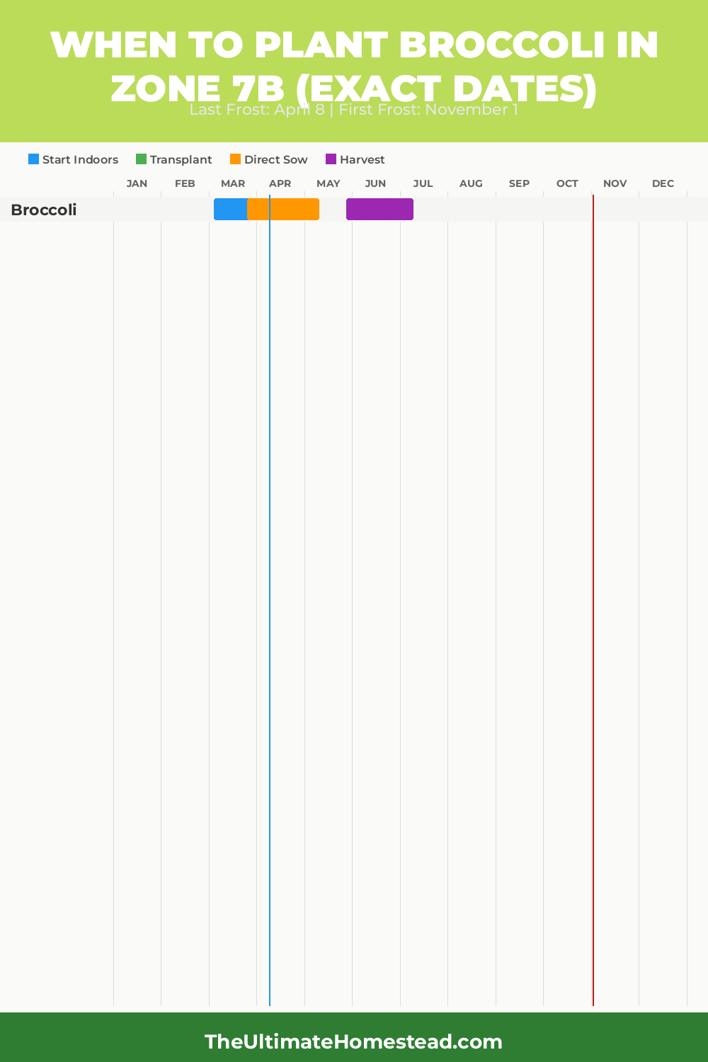 When to Plant Broccoli in Zone 7b