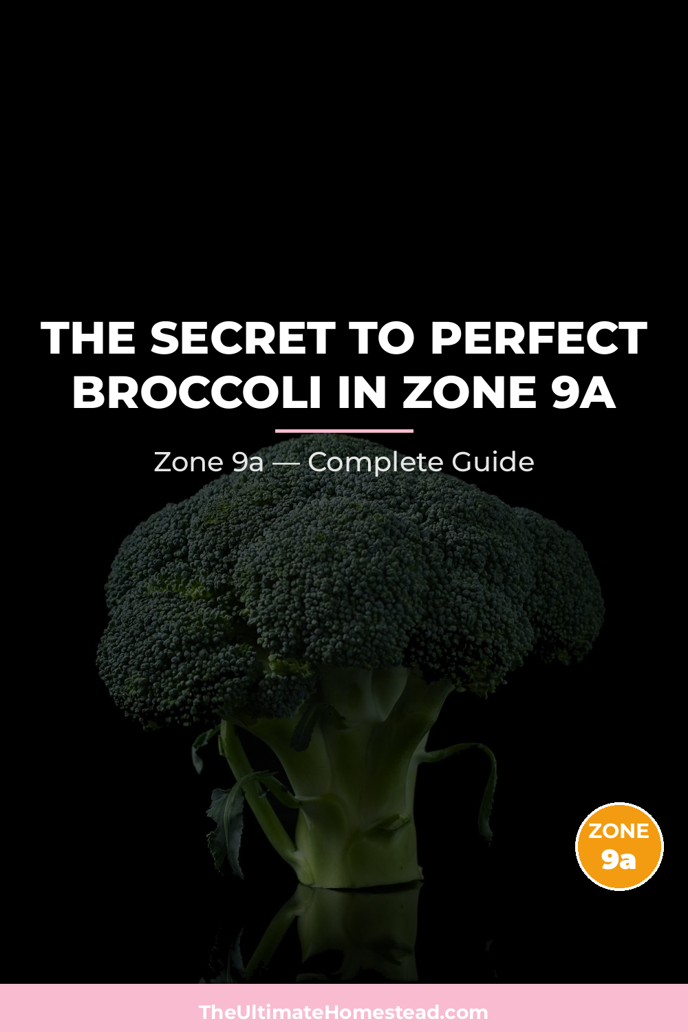 When to Plant Broccoli in Zone 9a