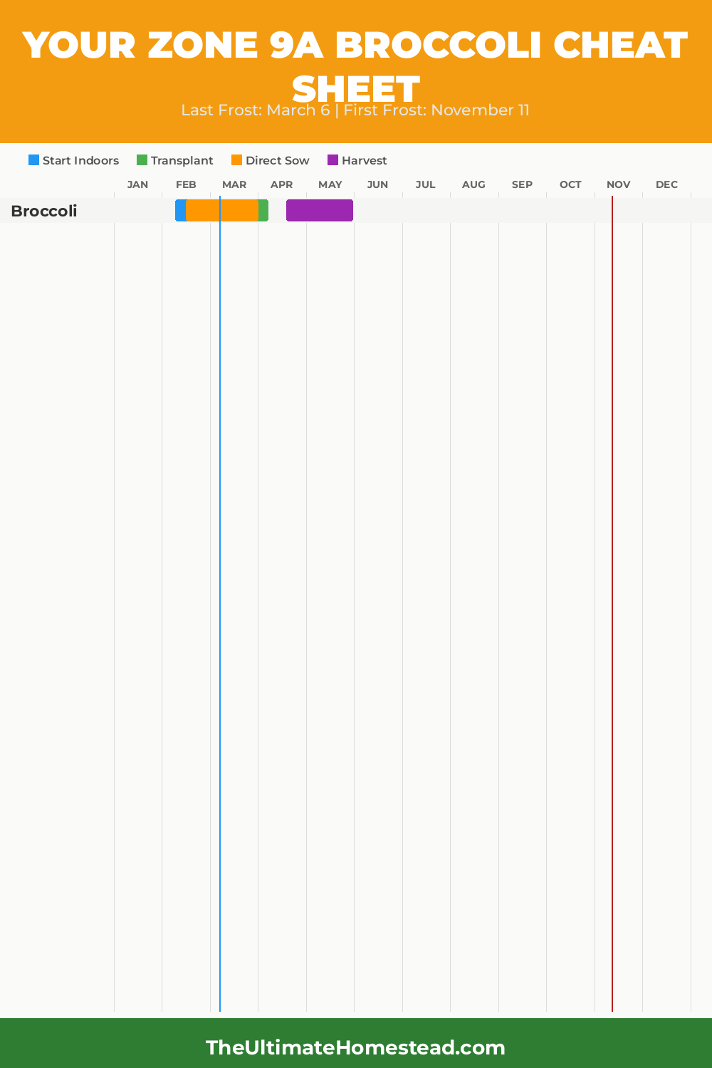 When to Plant Broccoli in Zone 9a