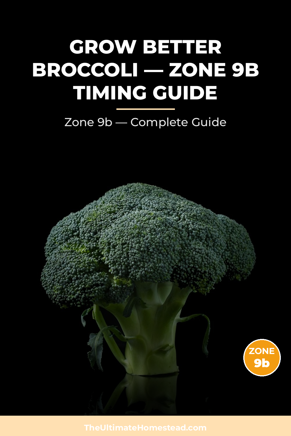 When to Plant Broccoli in Zone 9b