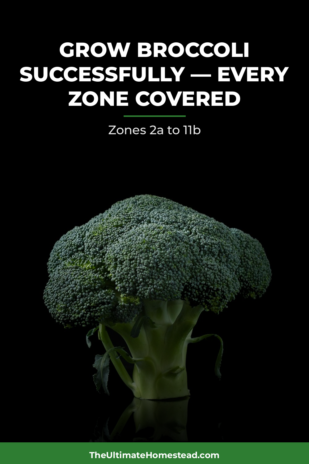 Broccoli Planting Guide