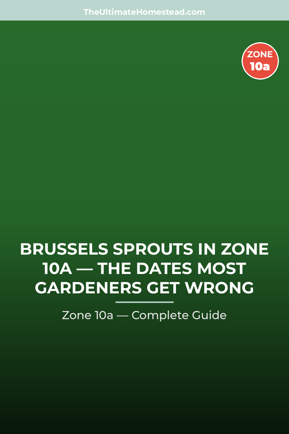 When to Plant Brussels Sprouts in Zone 10a