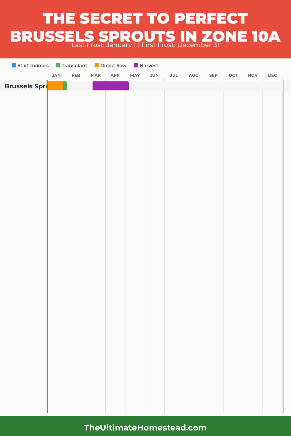 When to Plant Brussels Sprouts in Zone 10a