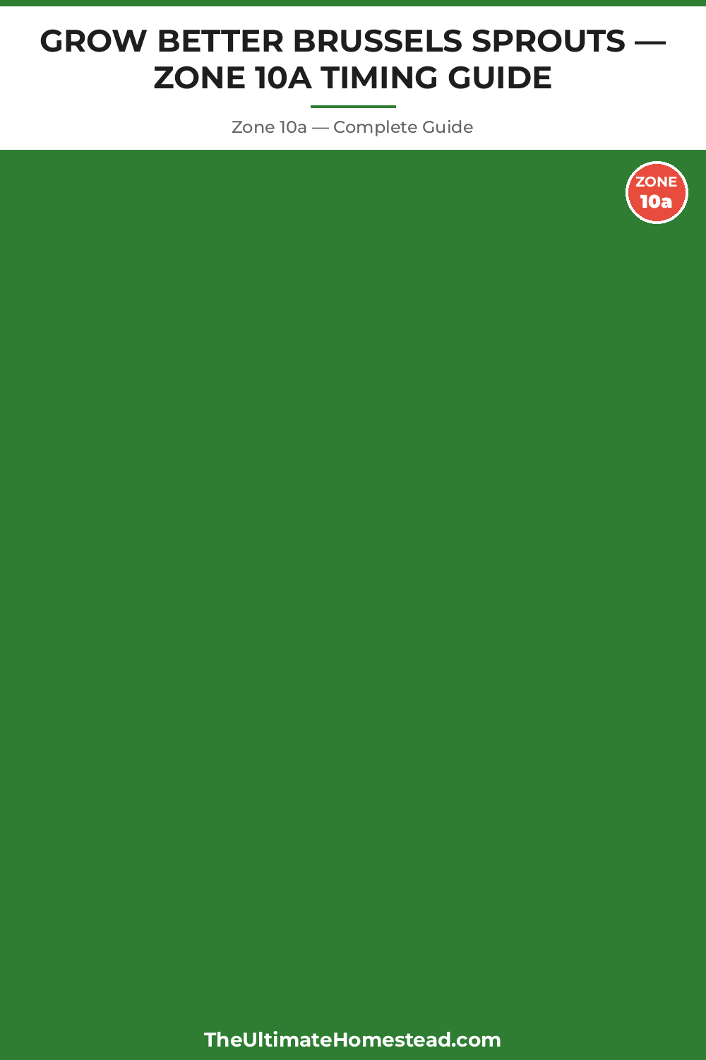 When to Plant Brussels Sprouts in Zone 10a