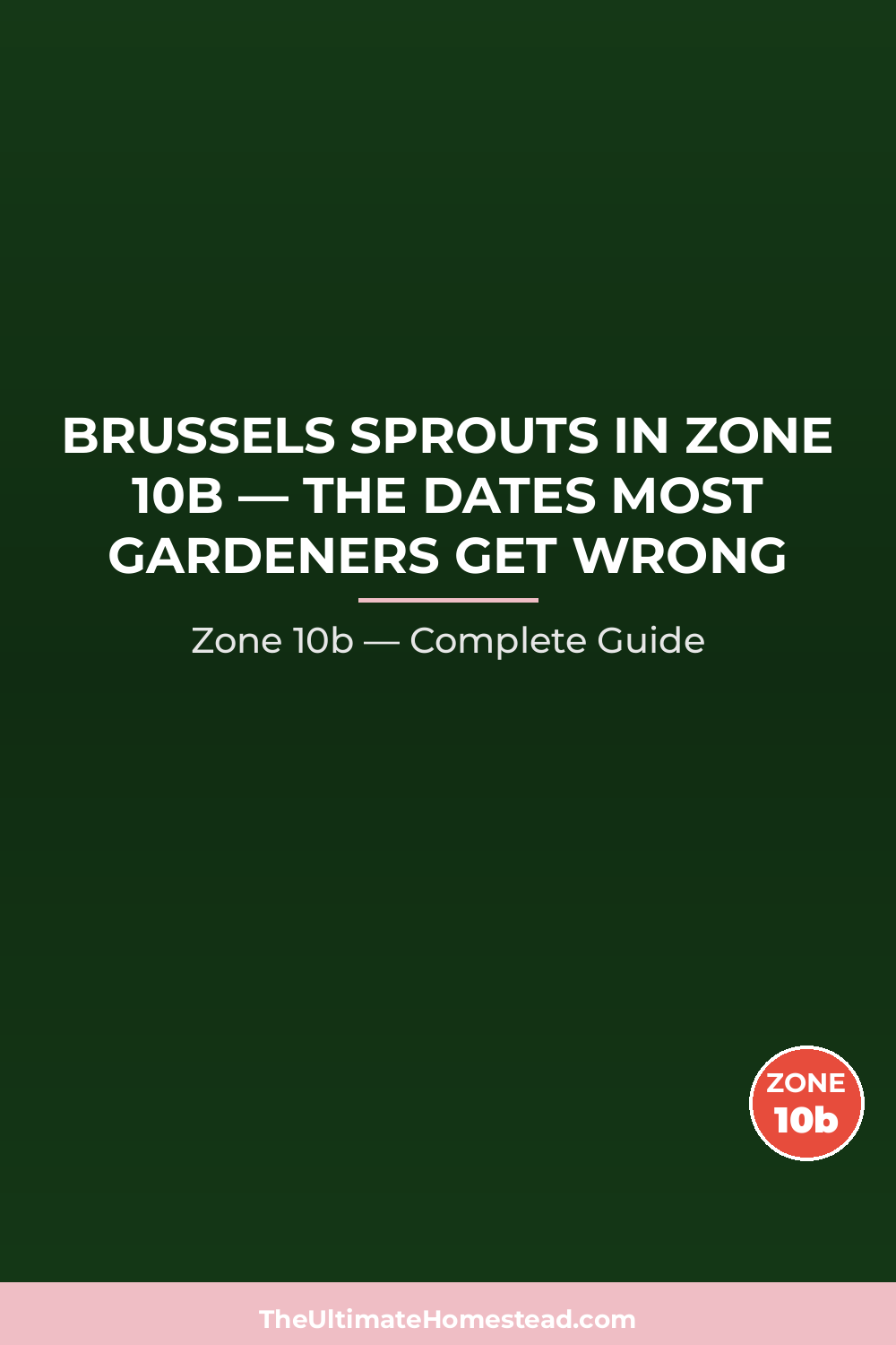 When to Plant Brussels Sprouts in Zone 10b