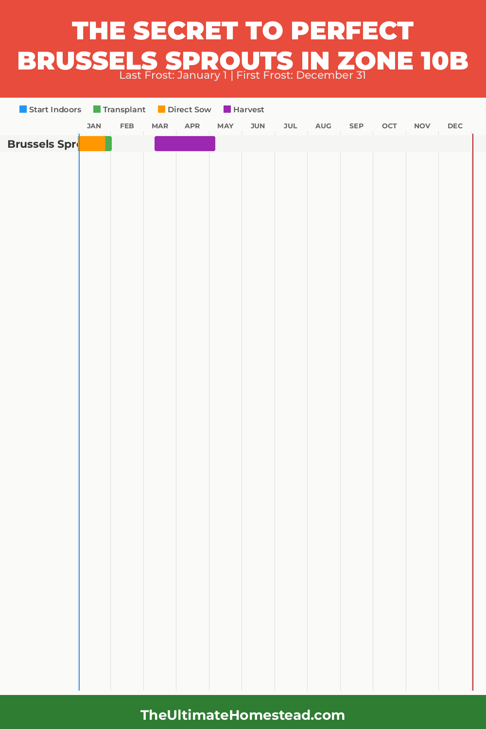 When to Plant Brussels Sprouts in Zone 10b