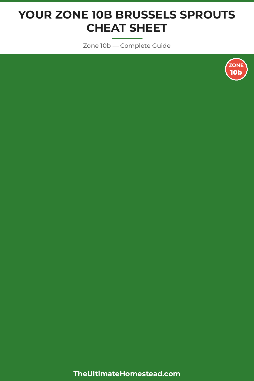 When to Plant Brussels Sprouts in Zone 10b