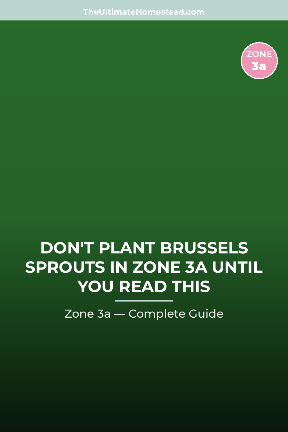 When to Plant Brussels Sprouts in Zone 3a