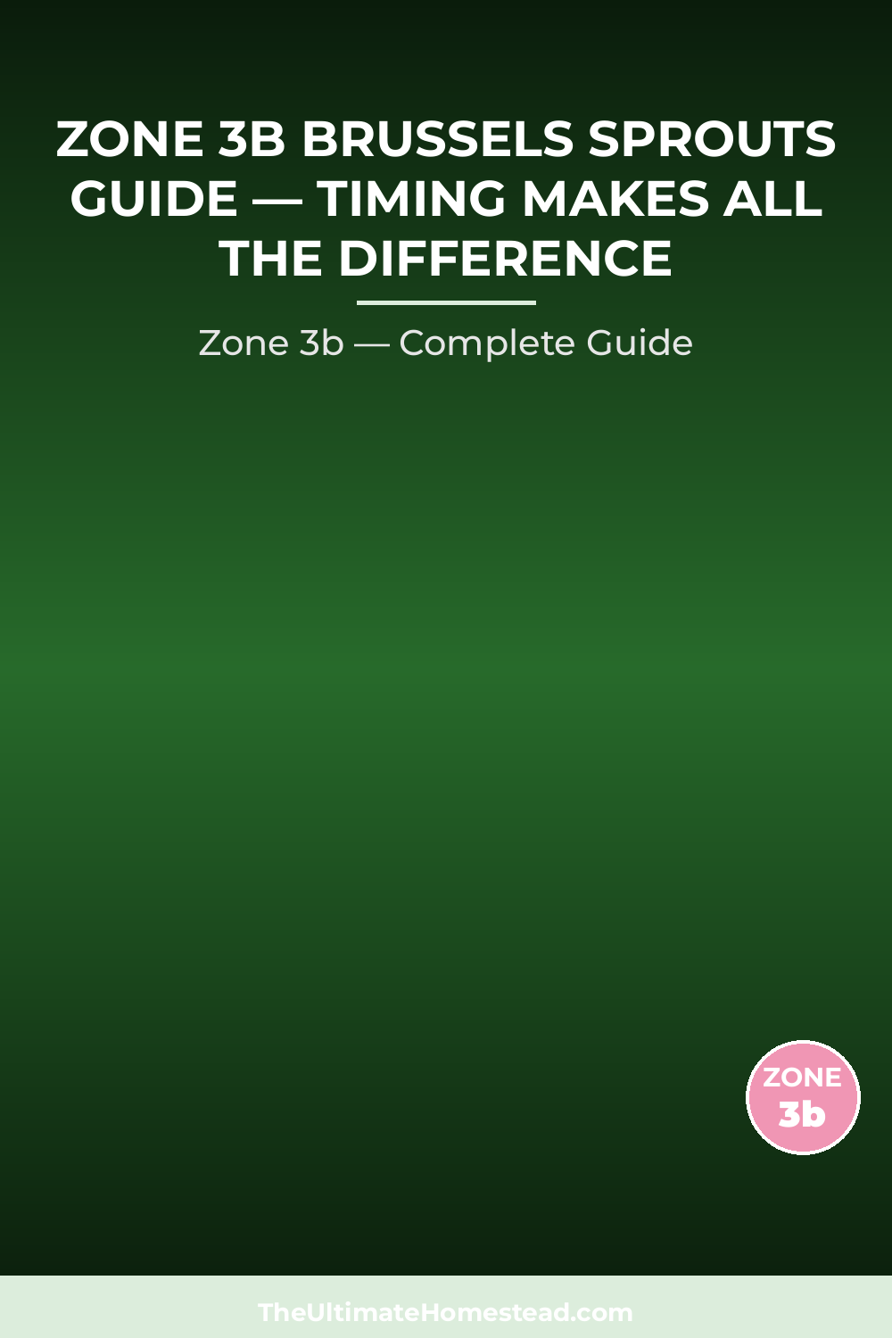 When to Plant Brussels Sprouts in Zone 3b