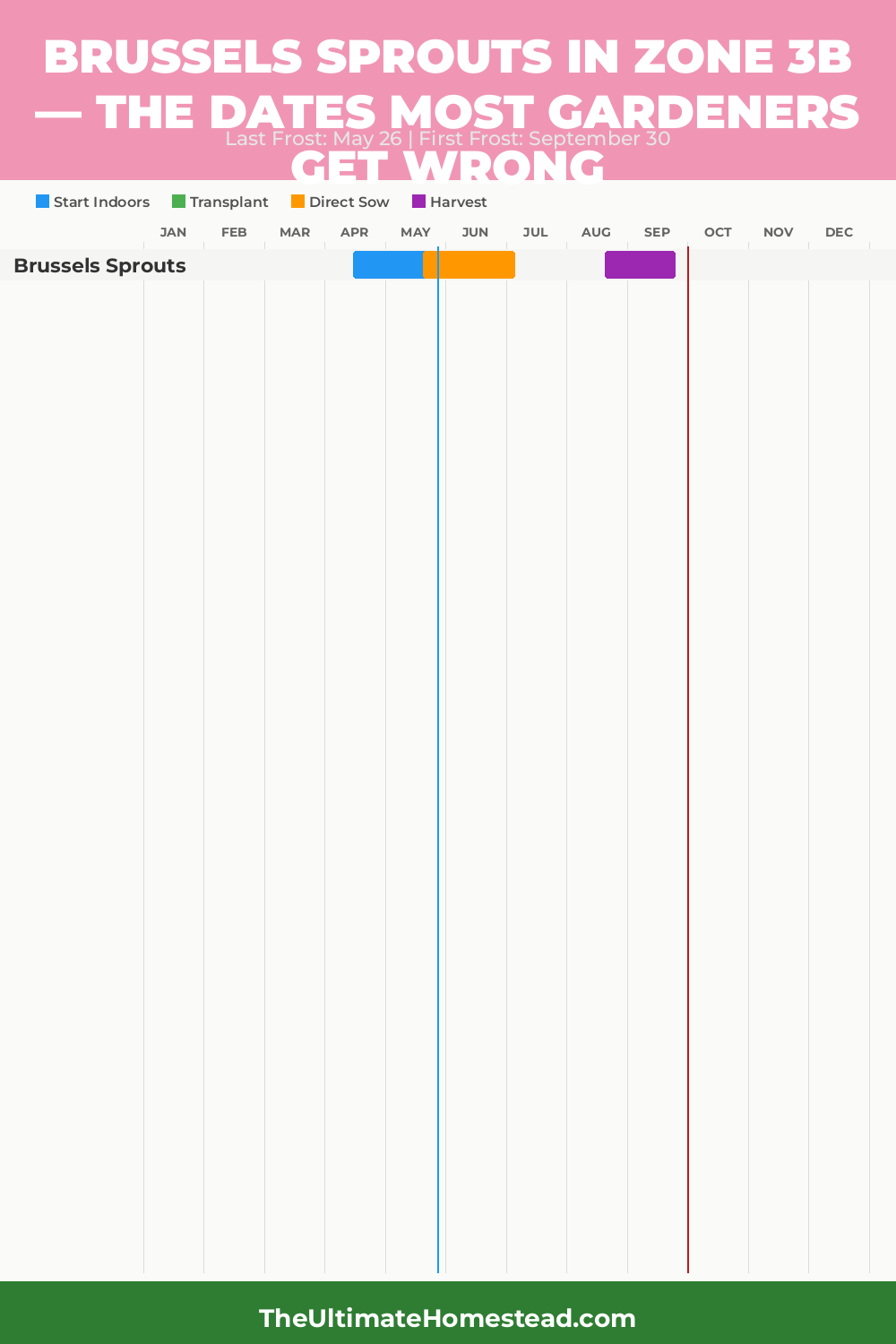 When to Plant Brussels Sprouts in Zone 3b