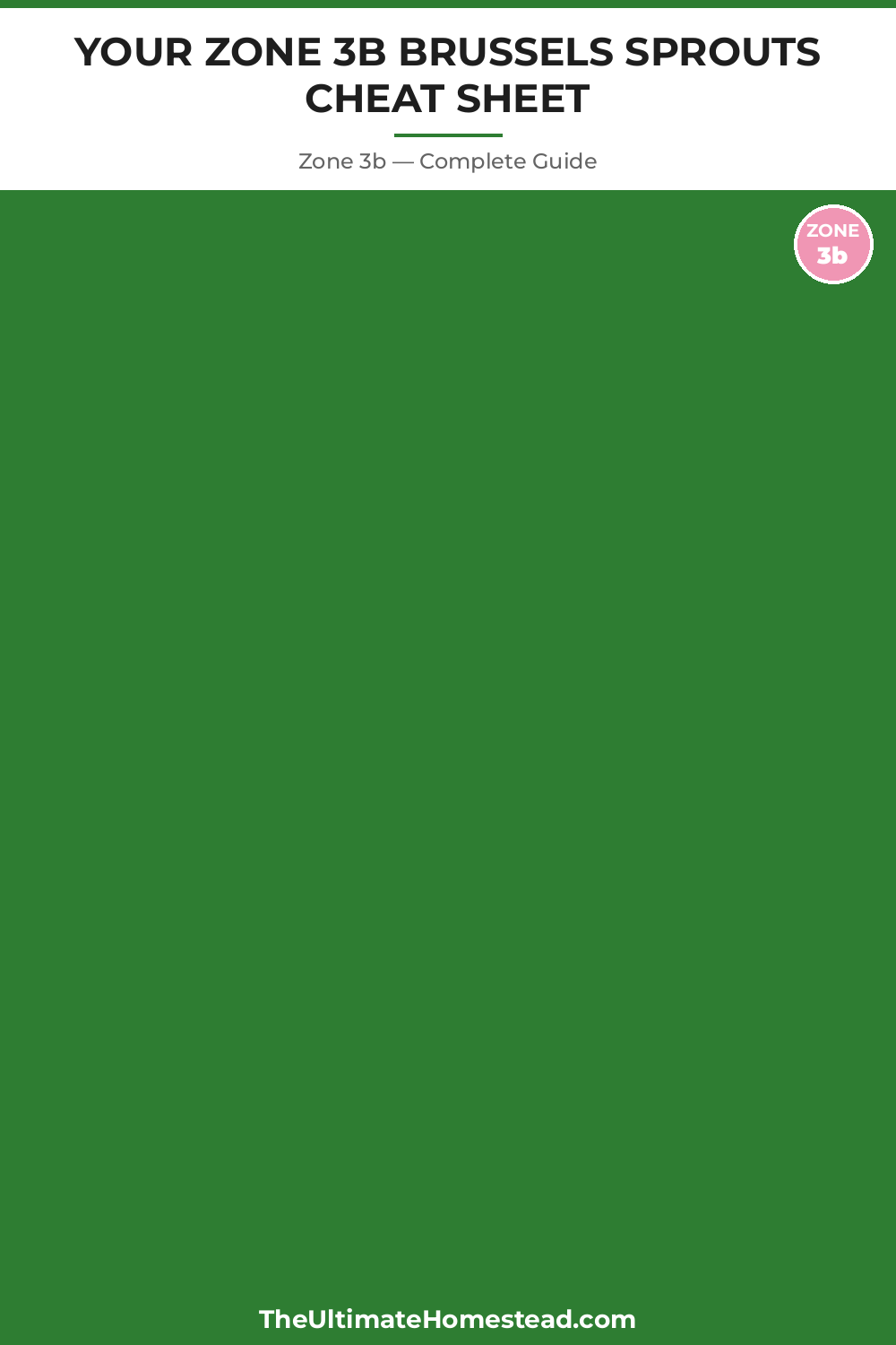 When to Plant Brussels Sprouts in Zone 3b