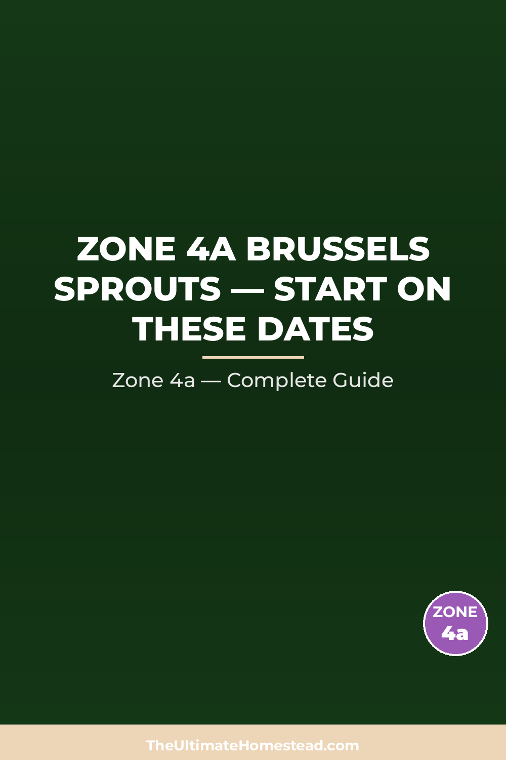 When to Plant Brussels Sprouts in Zone 4a