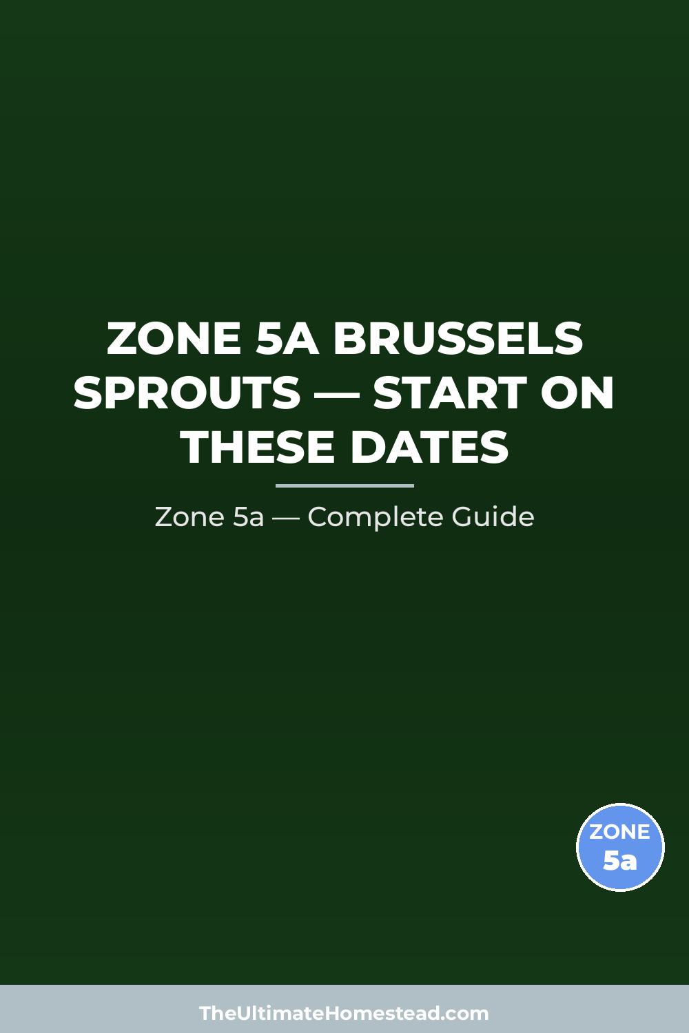 When to Plant Brussels Sprouts in Zone 5a