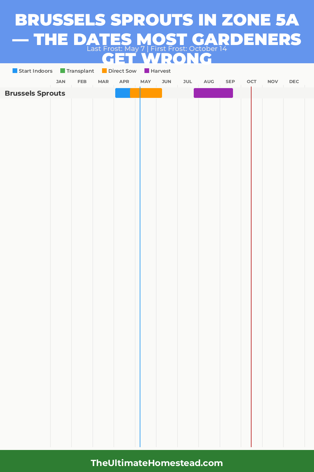 When to Plant Brussels Sprouts in Zone 5a