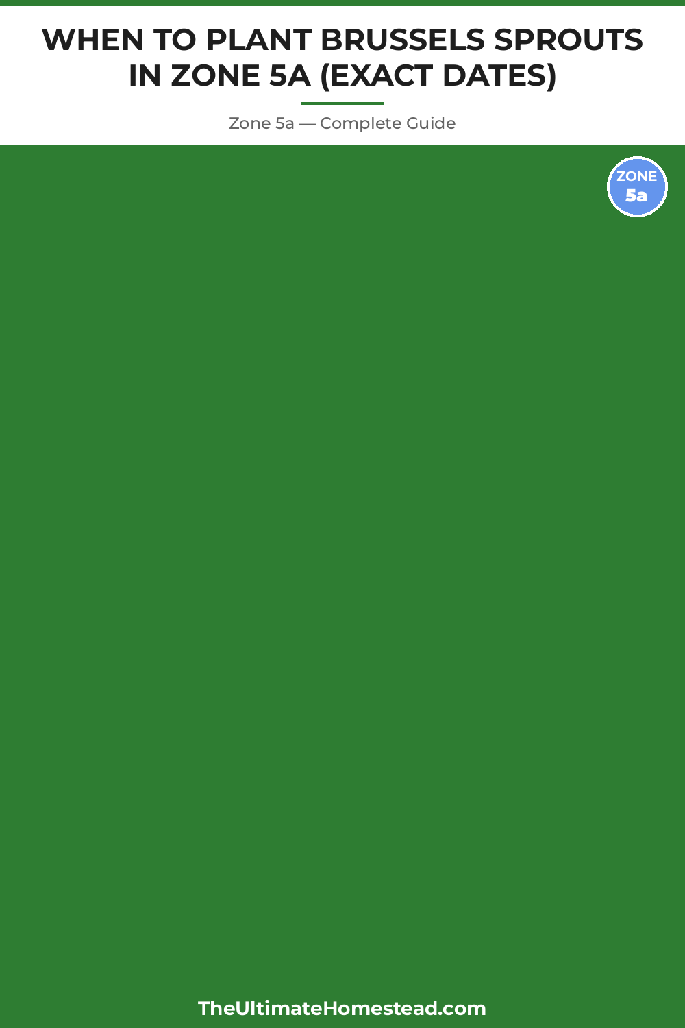 When to Plant Brussels Sprouts in Zone 5a