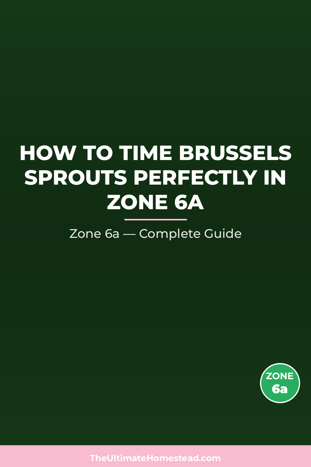 When to Plant Brussels Sprouts in Zone 6a