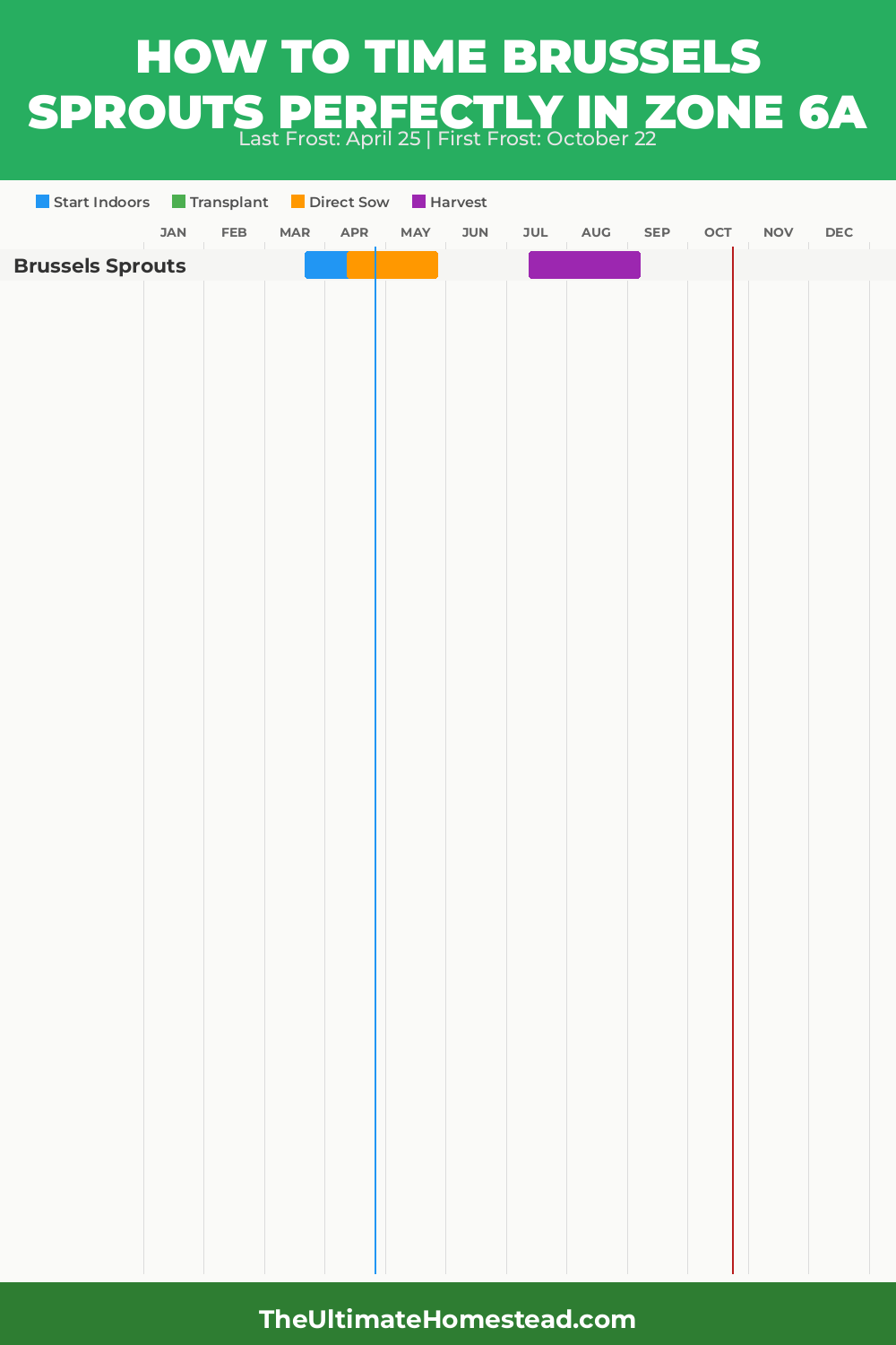 When to Plant Brussels Sprouts in Zone 6a