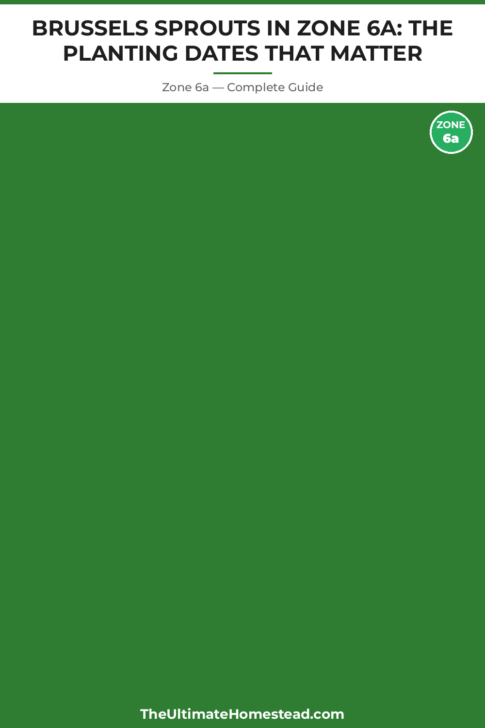 When to Plant Brussels Sprouts in Zone 6a