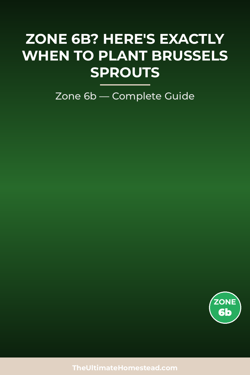 When to Plant Brussels Sprouts in Zone 6b