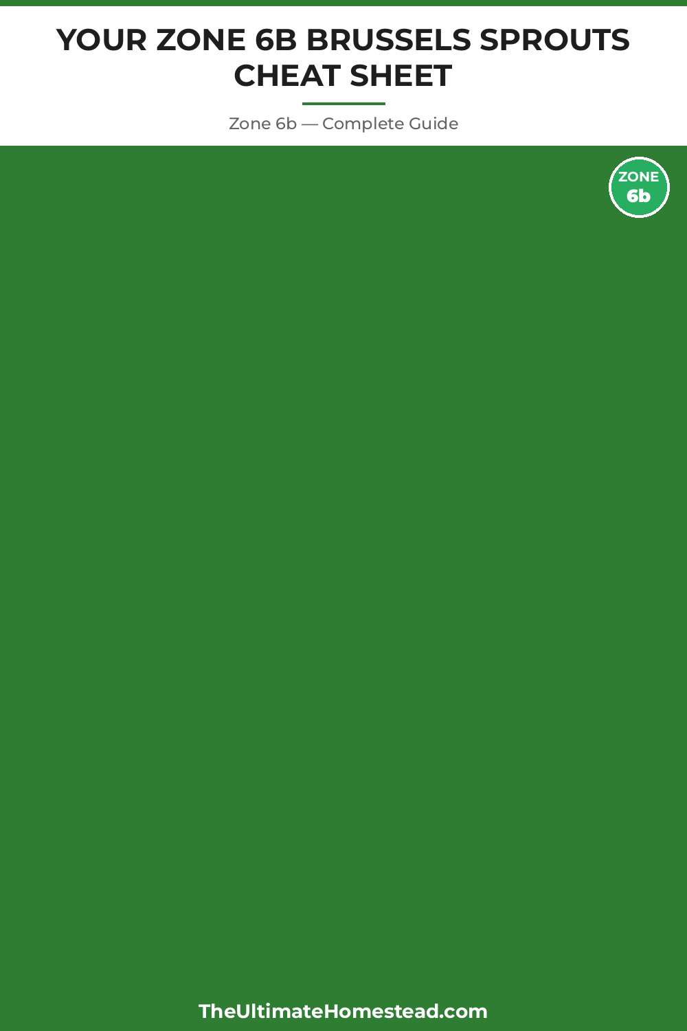 When to Plant Brussels Sprouts in Zone 6b