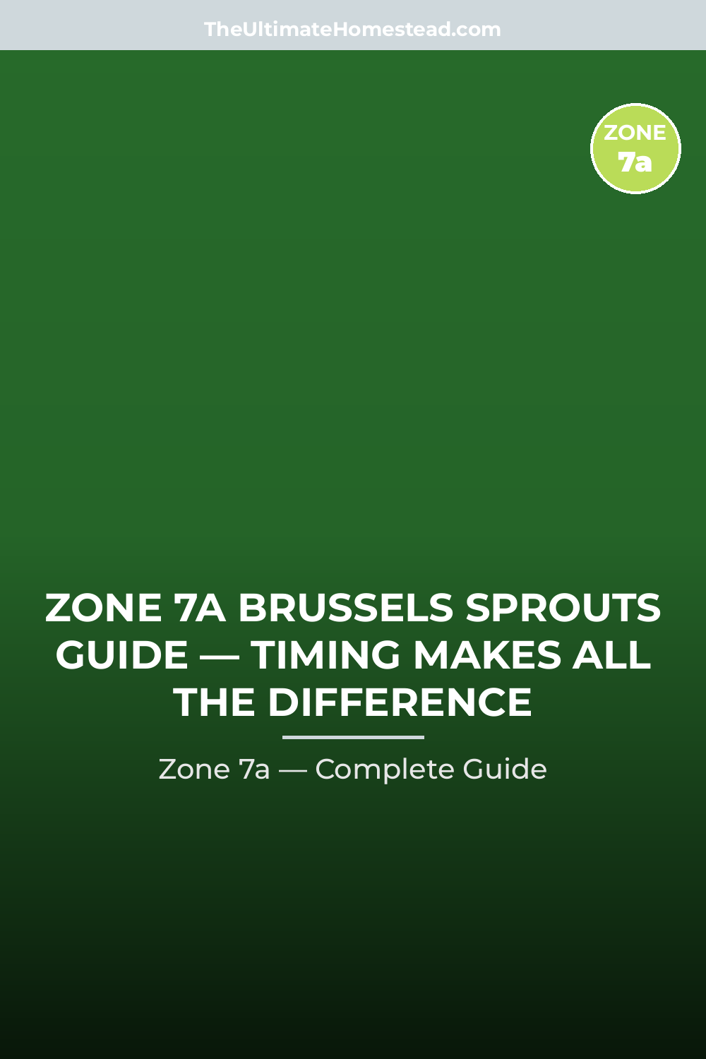When to Plant Brussels Sprouts in Zone 7a
